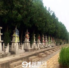 陵园风景图-1