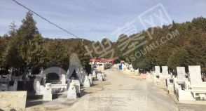 陵园风景图-10