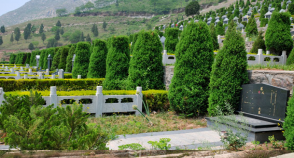 陵园风景图-3
