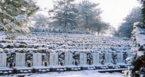陵园风景图-5