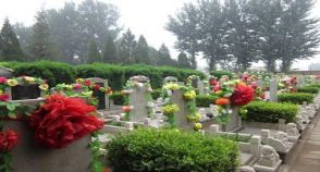 陵园风景图-2