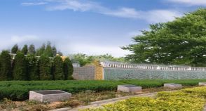 陵园风景图-1