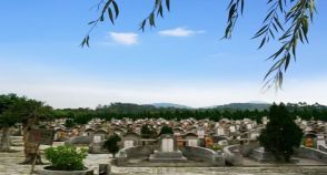 陵园风景图-1