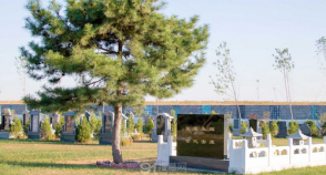 陵园风景图-1